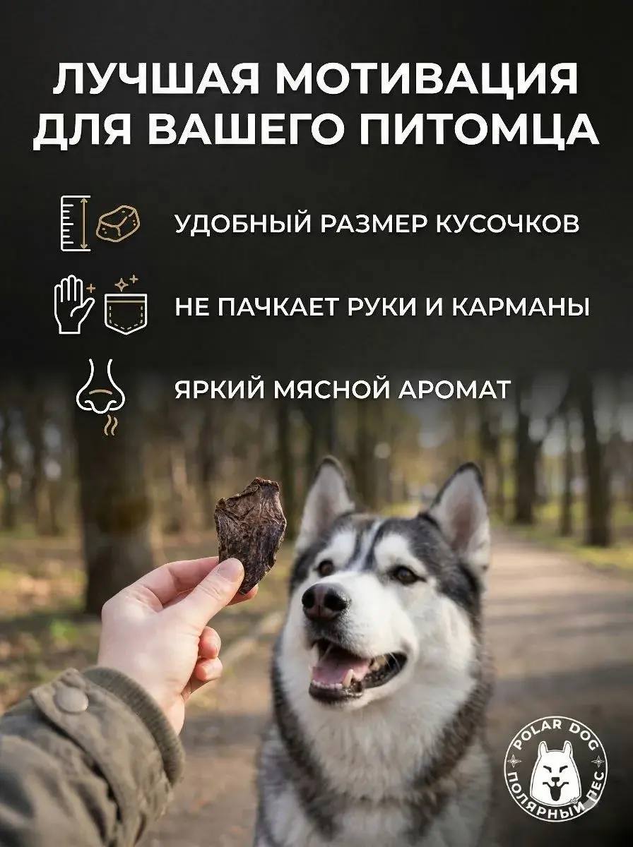 Печень говяжья Натуральное лакомство для собак — изображение 3