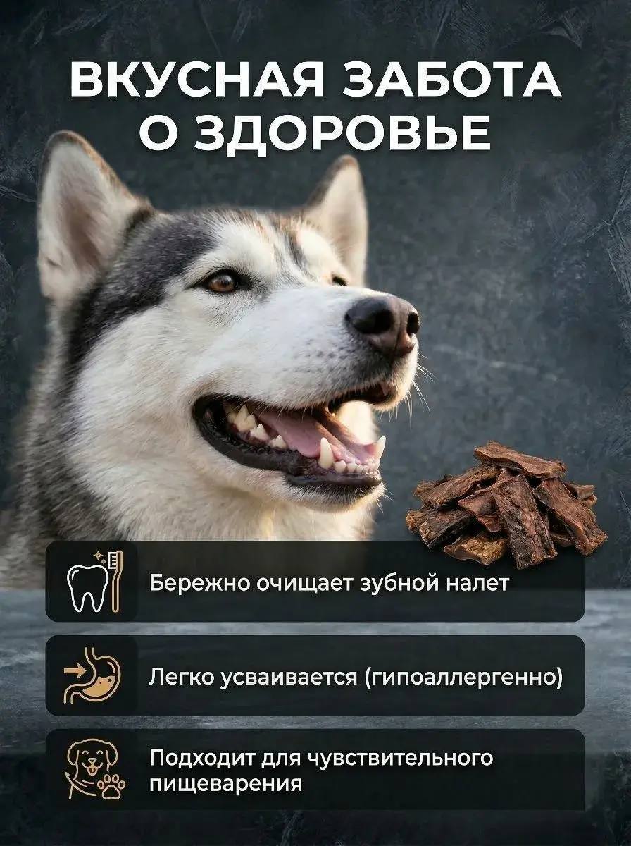 Печень говяжья Натуральное лакомство для собак — изображение 4