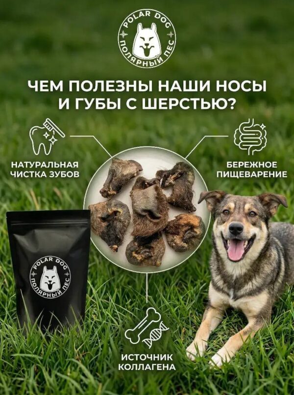 8 govyazhi nosy i guby s sherstyu 02 600x804