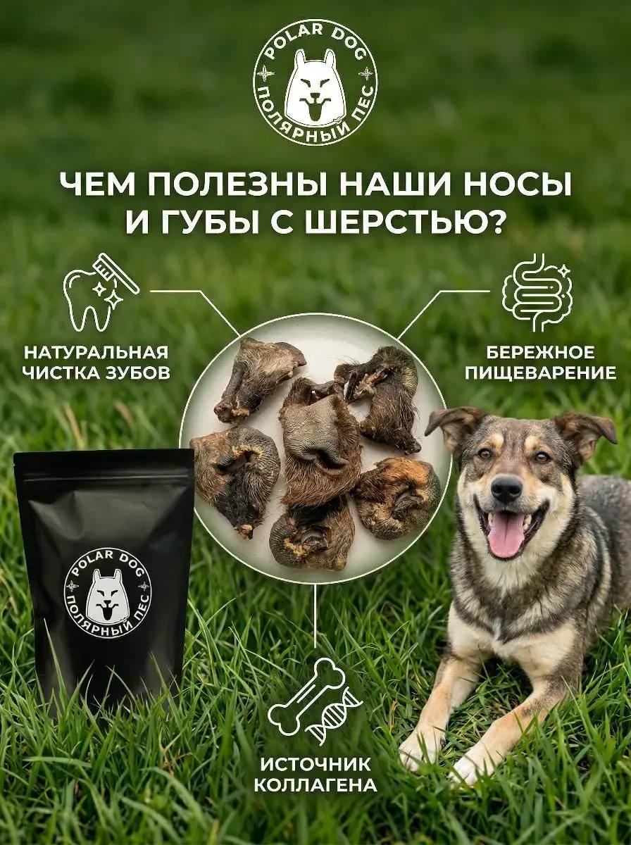Говяжьи носы и губы с шерстью натуральное лакомство для собак — изображение 2