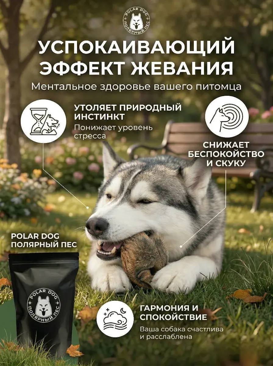 Говяжьи носы и губы с шерстью натуральное лакомство для собак — изображение 4