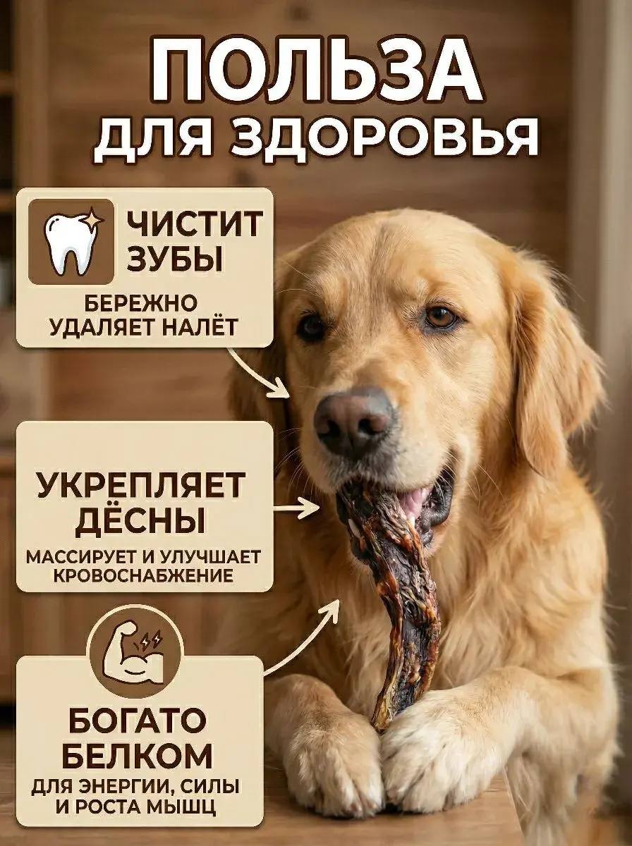 Говяжий хвост натуральное лакомство для собак — изображение 3