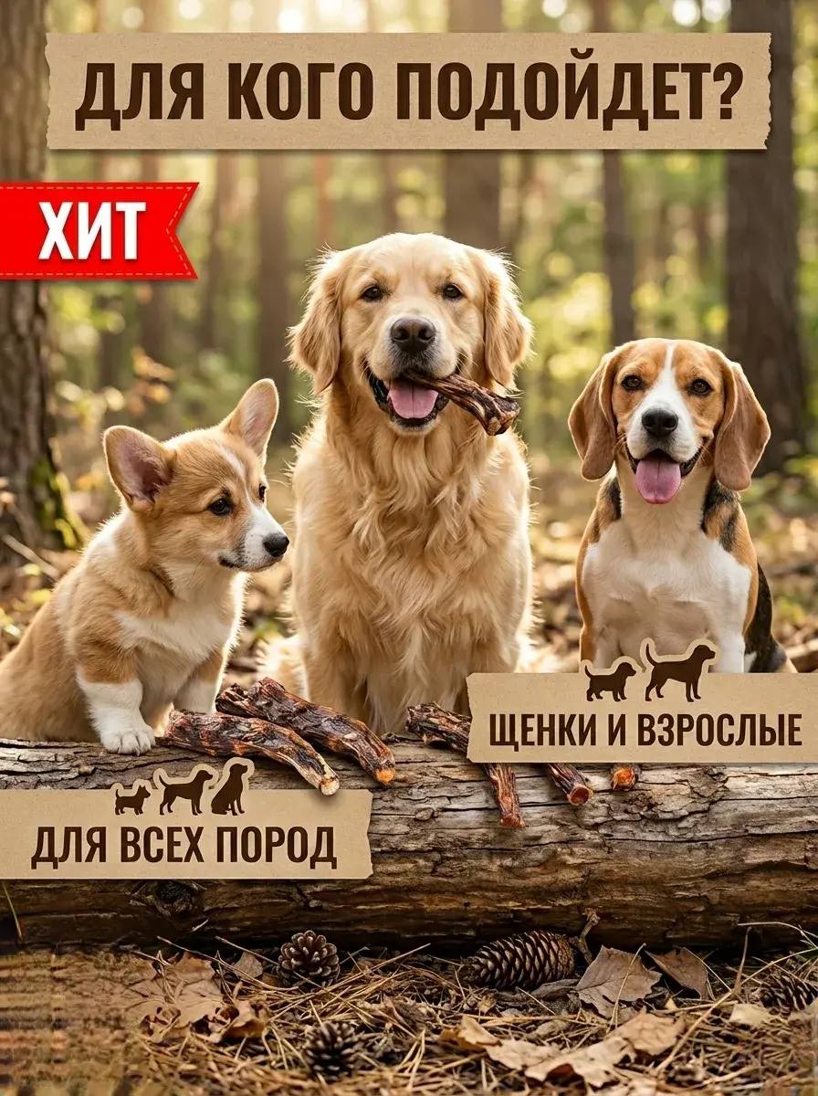 Говяжий хвост натуральное лакомство для собак — изображение 4