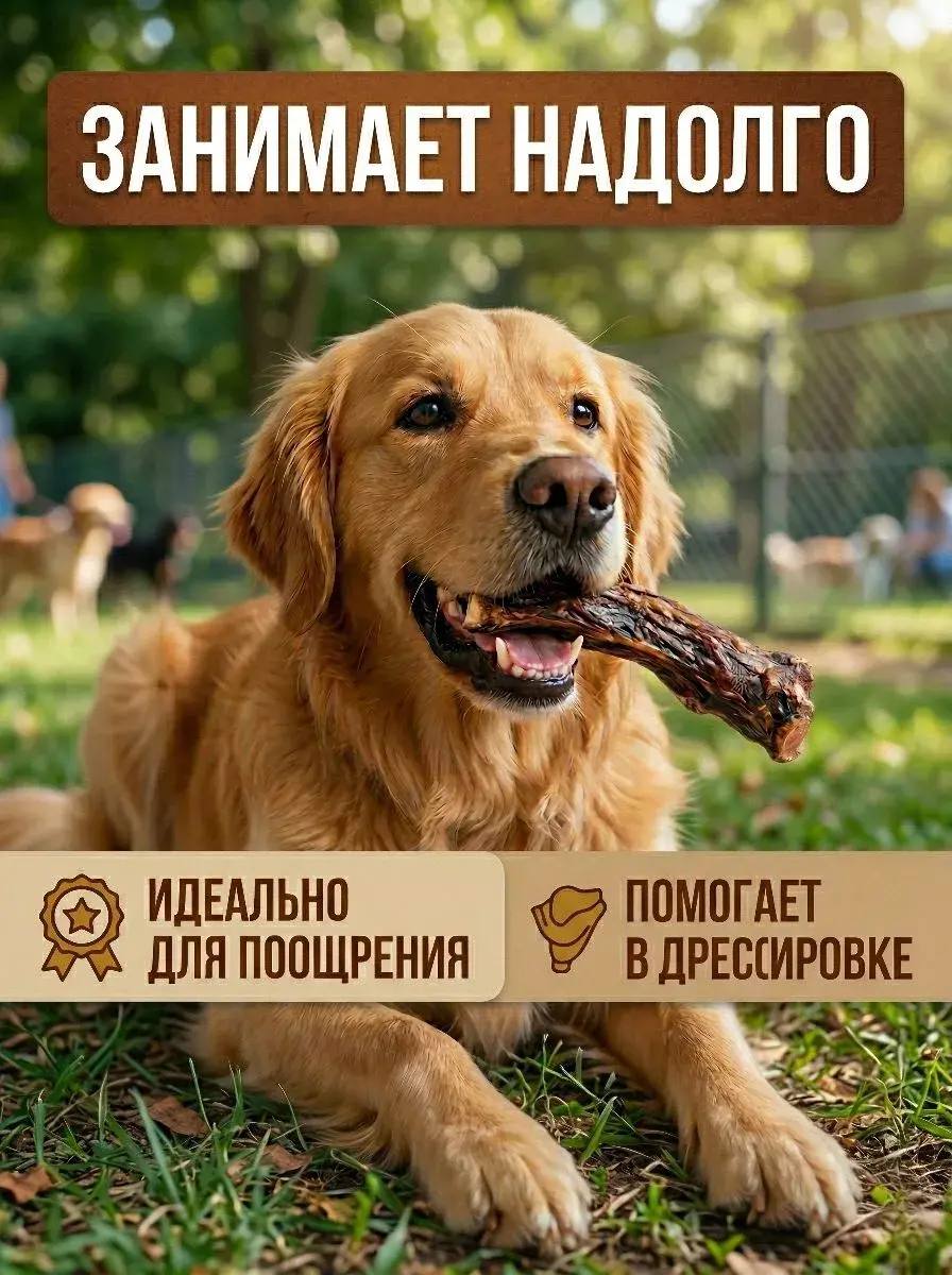 Говяжий хвост натуральное лакомство для собак — изображение 5