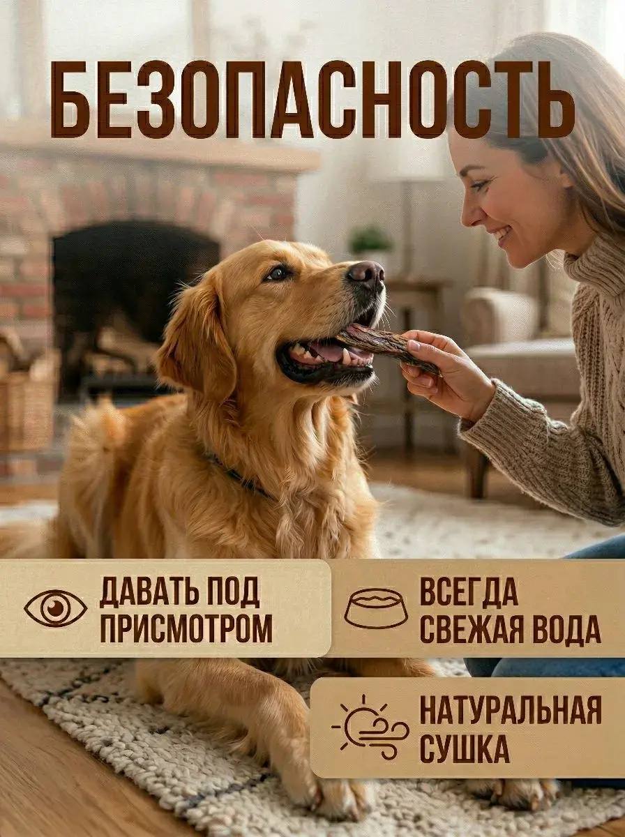 Говяжий хвост натуральное лакомство для собак — изображение 6