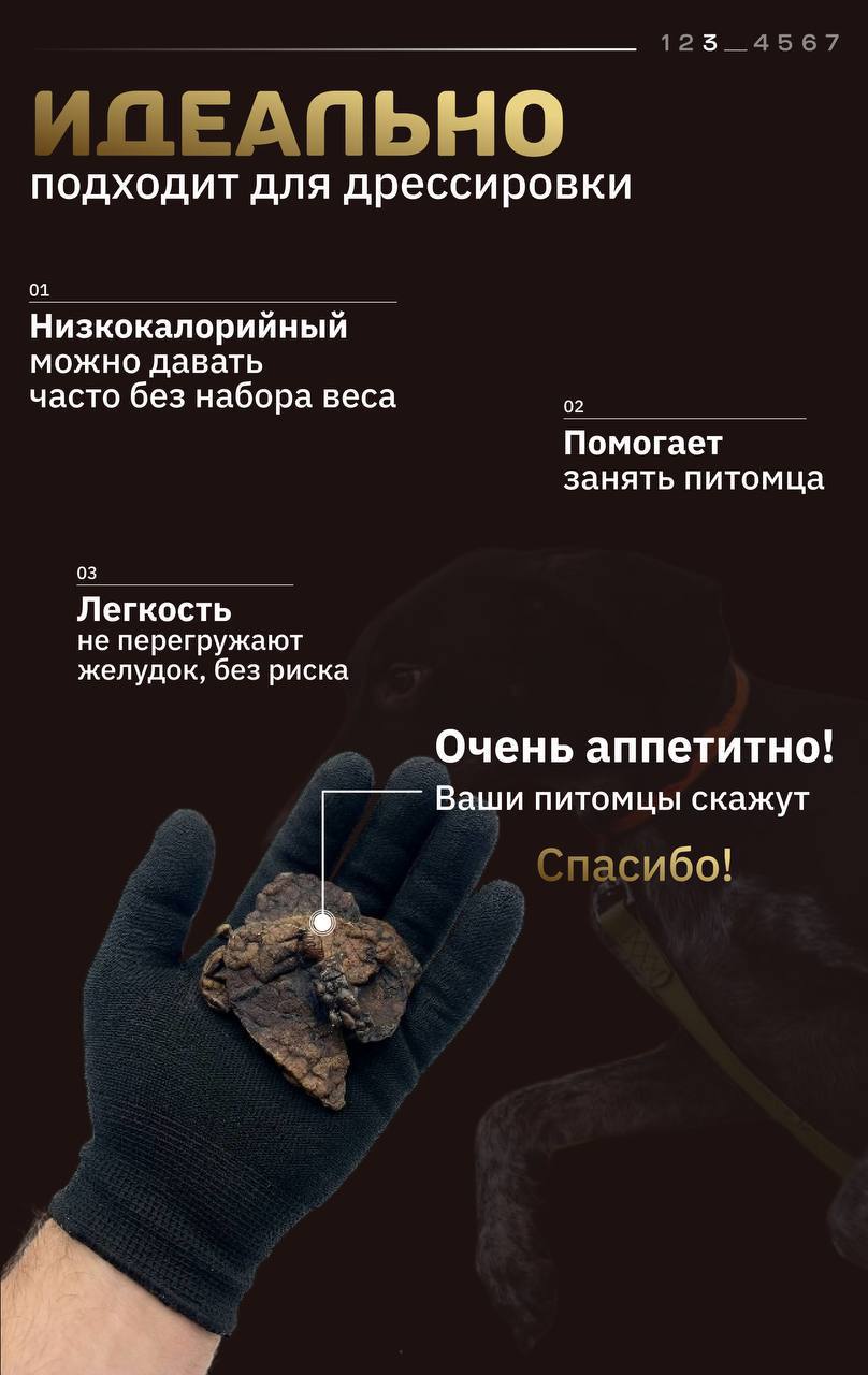 Высушенное лёгкое дикого лося — изображение 3