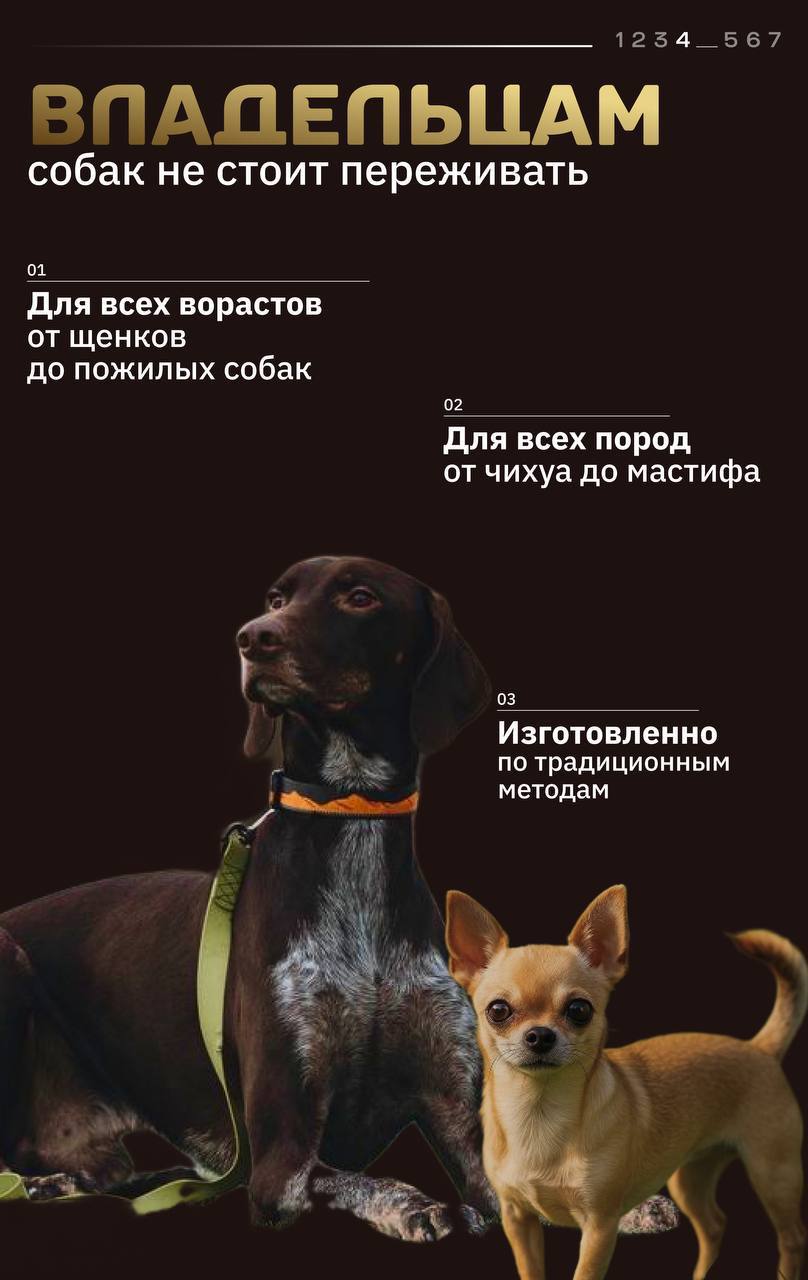 Высушенное лёгкое дикого лося — изображение 4