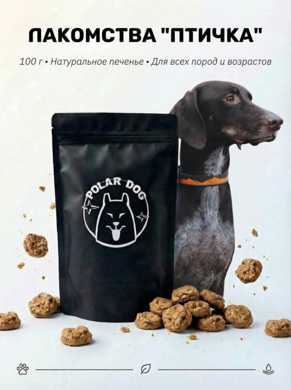 Печенье для собак птичка