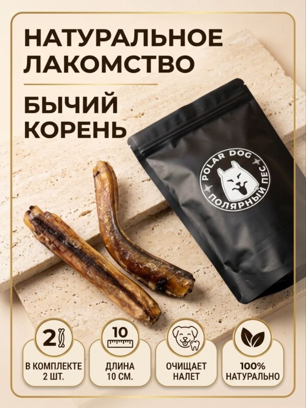 Бычий корень палочка 1