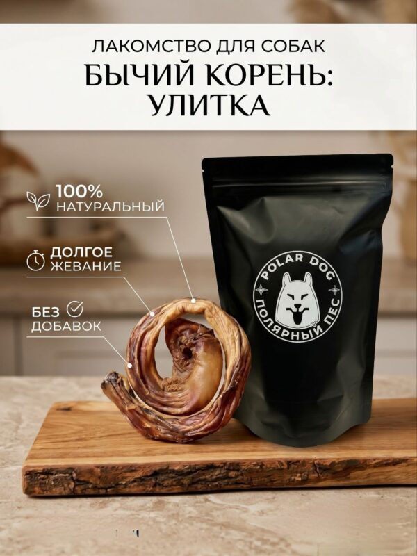 Бычий корень улитка 1