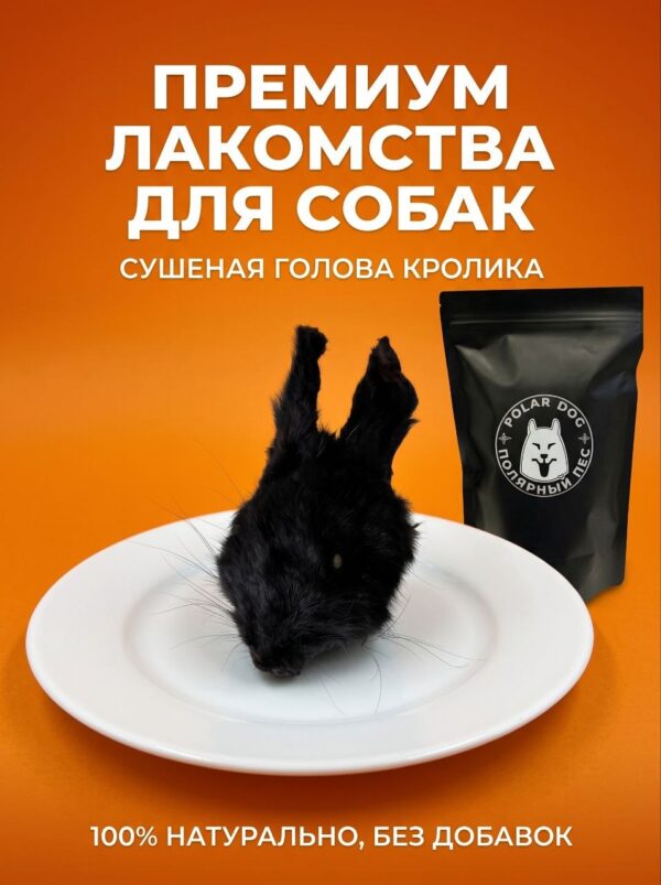 Голова кролика